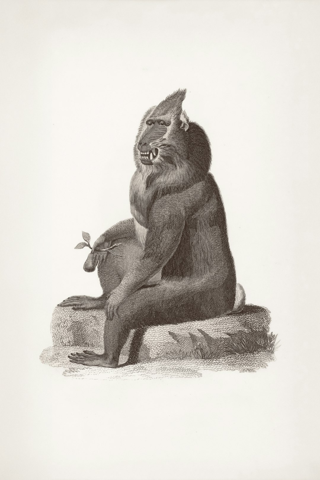 Frasco de chimichurri y hierbas frescas sobre tabla